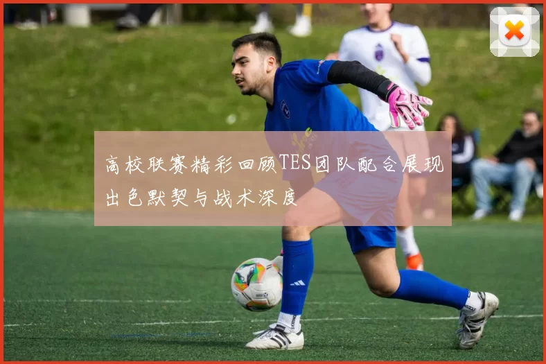 高校联赛精彩回顾TES团队配合展现出色默契与战术深度