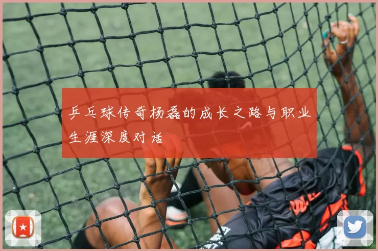 乒乓球传奇杨磊的成长之路与职业生涯深度对话