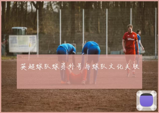 英超球队球员外号与球队文化关联