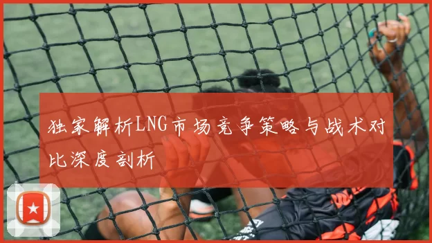 独家解析LNG市场竞争策略与战术对比深度剖析