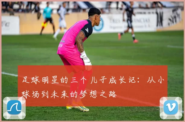 足球明星的三个儿子成长记：从小球场到未来的梦想之路