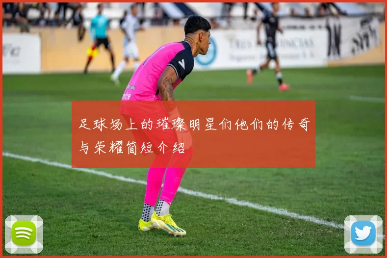 足球场上的璀璨明星们他们的传奇与荣耀简短介绍
