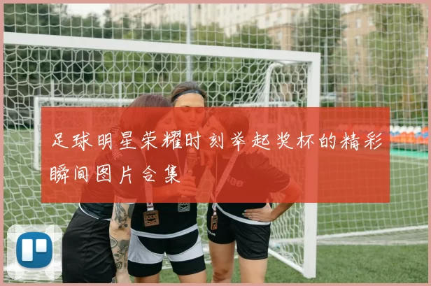 足球明星荣耀时刻举起奖杯的精彩瞬间图片合集