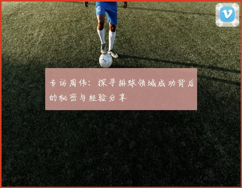 专访周伟：探寻排球领域成功背后的秘密与经验分享