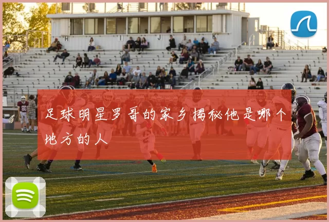 足球明星罗哥的家乡揭秘他是哪个地方的人