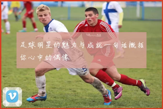 足球明星的魅力与成就一句话概括你心中的偶像