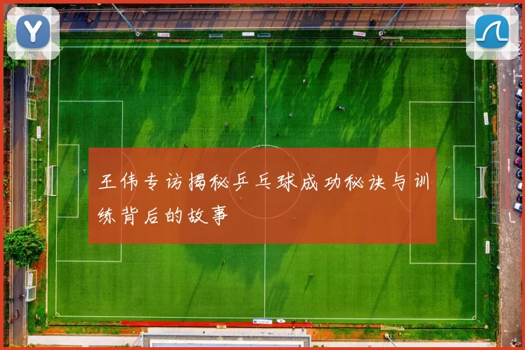 王伟专访揭秘乒乓球成功秘诀与训练背后的故事