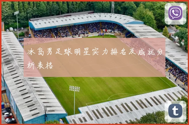 冰岛男足球明星实力排名及成就分析表格