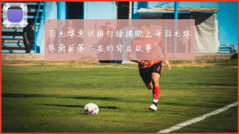 羽毛球意识排行榜揭晓上海羽毛球队荣获第二名的背后故事