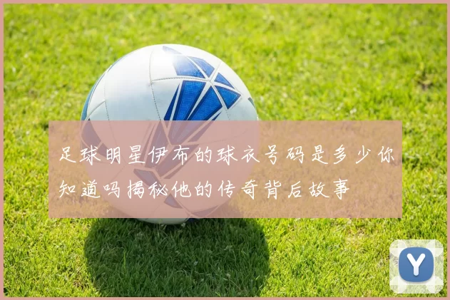 足球明星伊布的球衣号码是多少你知道吗揭秘他的传奇背后故事