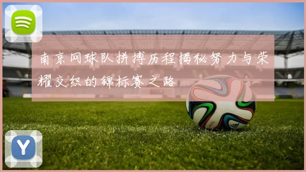 南京网球队拼搏历程揭秘努力与荣耀交织的锦标赛之路