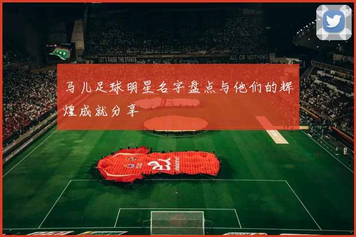 马儿足球明星名字盘点与他们的辉煌成就分享